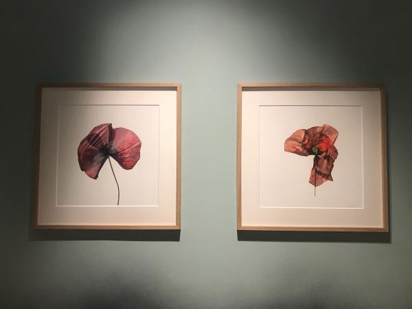 Vernissage de Pierre Vallet